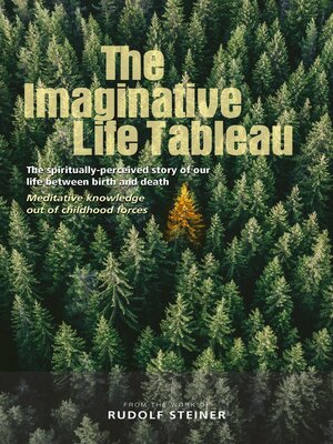 cover image of The Imaginative Life Tableau